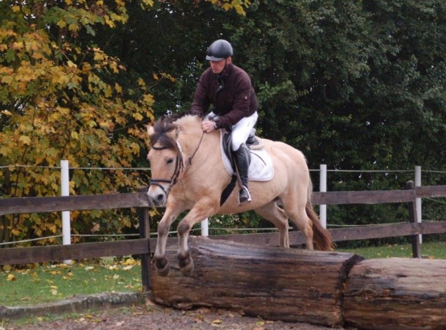 La Querida - Endnote 7,65  Foto: Jochen Noesinger