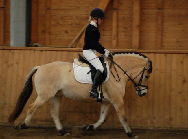 La Querida - Endnote 7,65  Foto: Jochen Noesinger