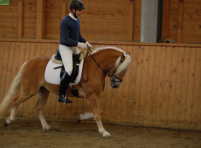 Santana - Endnote 8,16  Foto: Jochen Noesinger