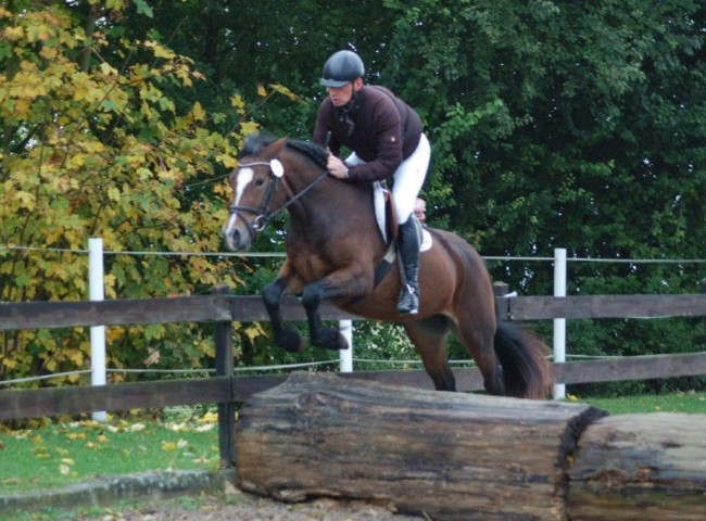 TerraAllegra - Endnote 8,09  Foto: Jochen Noesinger