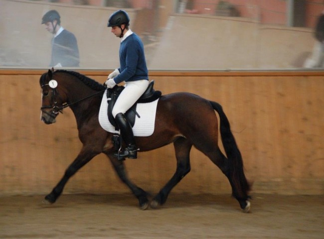 TerraAllegra - Endnote 8,09  Foto: Jochen Noesinger