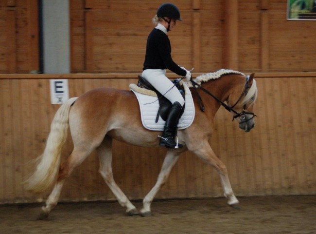 Weena - Endnote 7,90  Foto: Jochen Noesinger