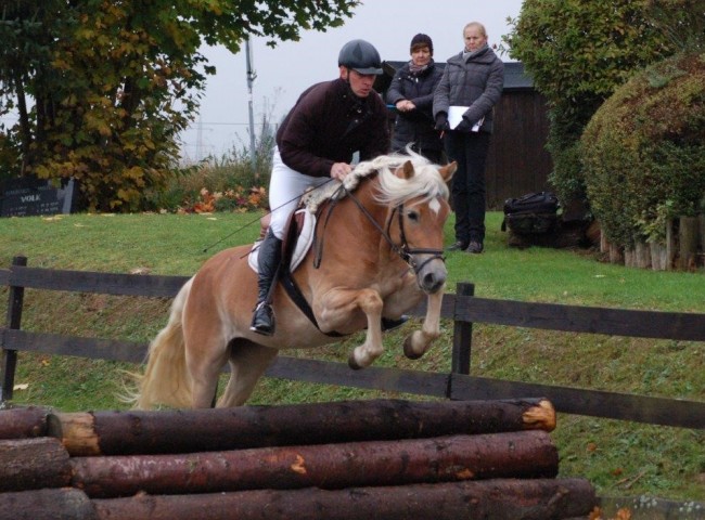 Weena - Endnote 7,90  Foto: Jochen Noesinger