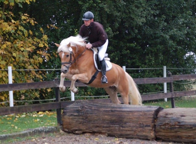 Wiless - Endnote 7,90  Foto: Jochen Noesinger