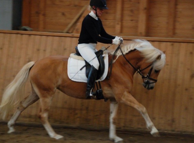 Wiless - Endnote 7,90  Foto: Jochen Noesinger