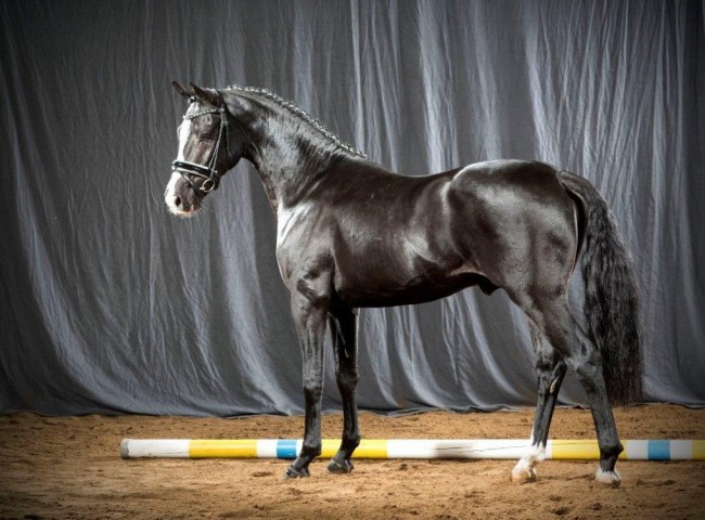 Namib W    Foto: Guido Recki