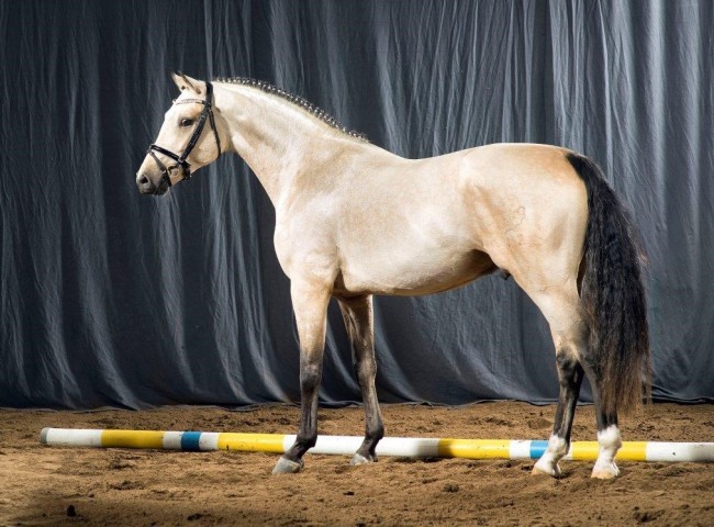 Newlands Day by Day   Foto: Guido Recki