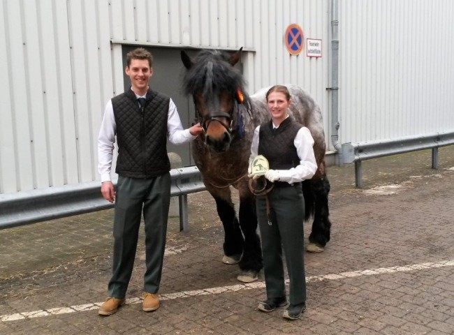 Mit Recht stolz auf die Prämienplakette für ihren Hengst Landmesser sind Jacqueline Müller und Lars Peters vom Landgestüt Dillenburg Foto: Solle