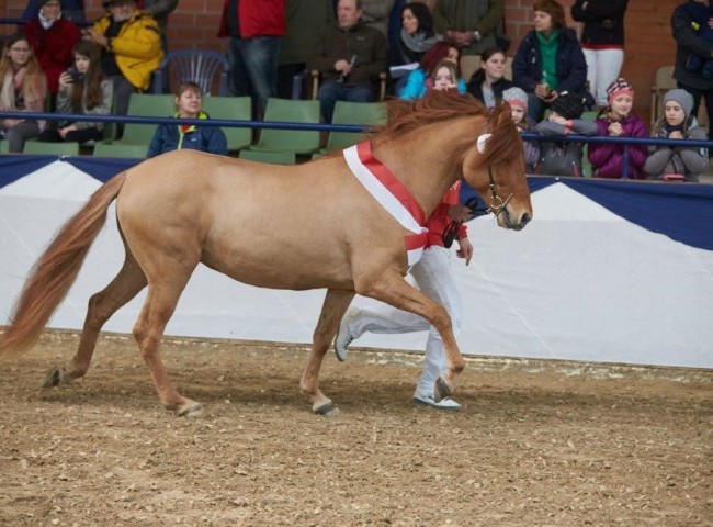 Ferdinand von Ottawa- Foto: Joachim Hecker