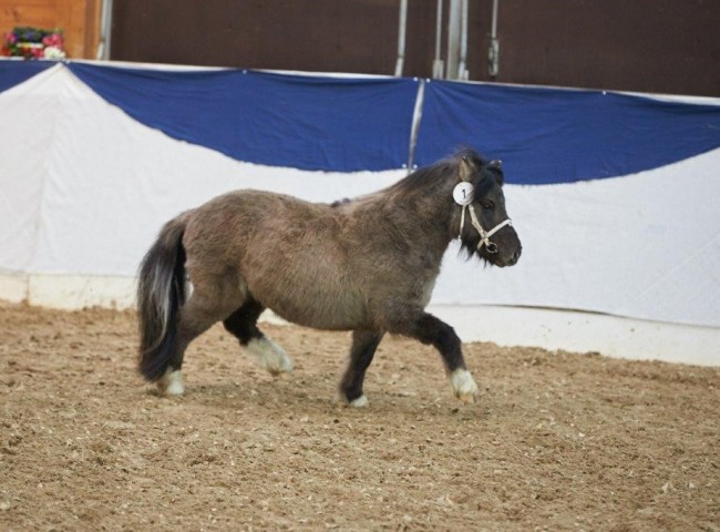 Inuk von Salza Foto: Joachim Hecker