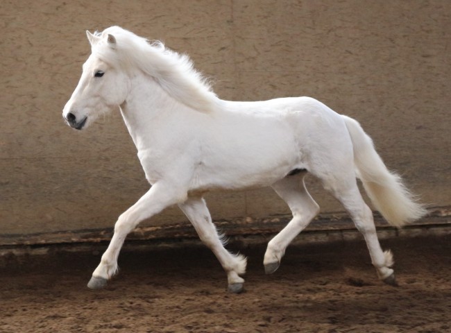 Glenur vom Lotterberg