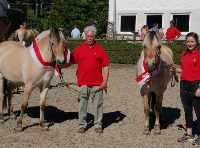 Siegerstuten der Eintragung - Lydissan (li) und Jilia (re)