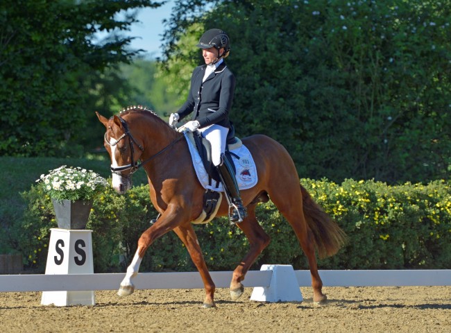 Cosmo Royale siegt mit Danica Duen in der Pony-Reitpferdeprüfung Foto: Bernd Neff