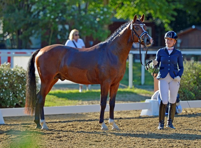 Tackmanns D-Jay an der Hand von Wenke Kraus Foto: Bernd Neff