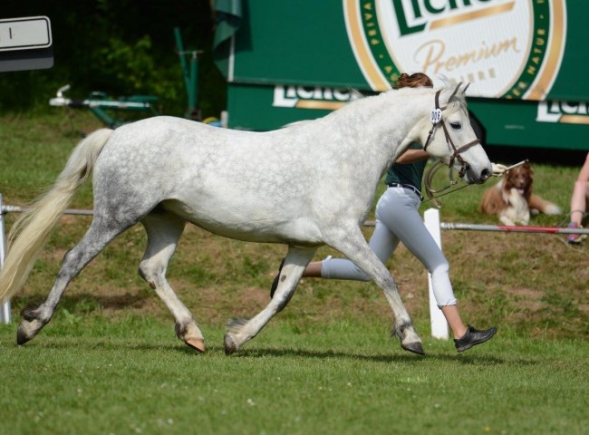 Jona  Foto: Dr. Bachmann