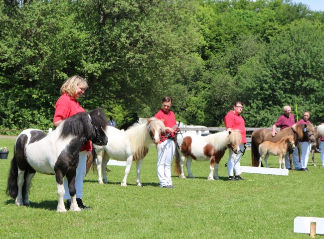 Familie Penmorfafarm