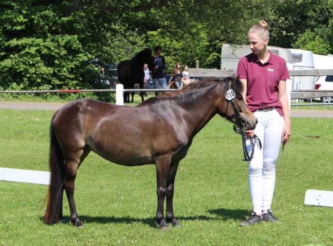 Vanessa   Foto: Grom