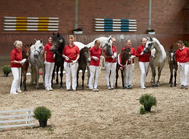 Gruppenbild Connemara  Foto: JHecker