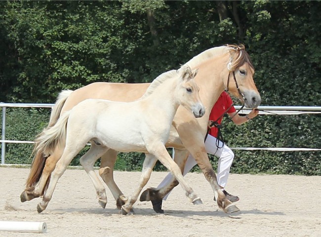Gaard  Klasse 4  1c