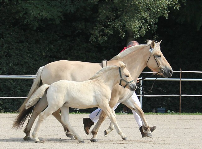 Hannika Klasse 1 1b