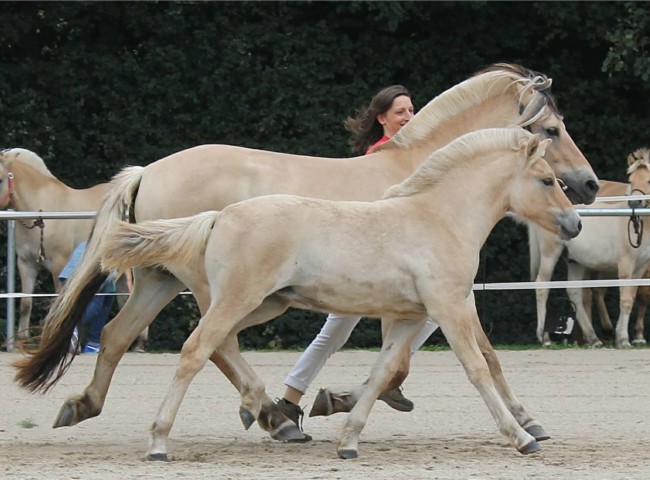 Juna  Klasse 2 1b