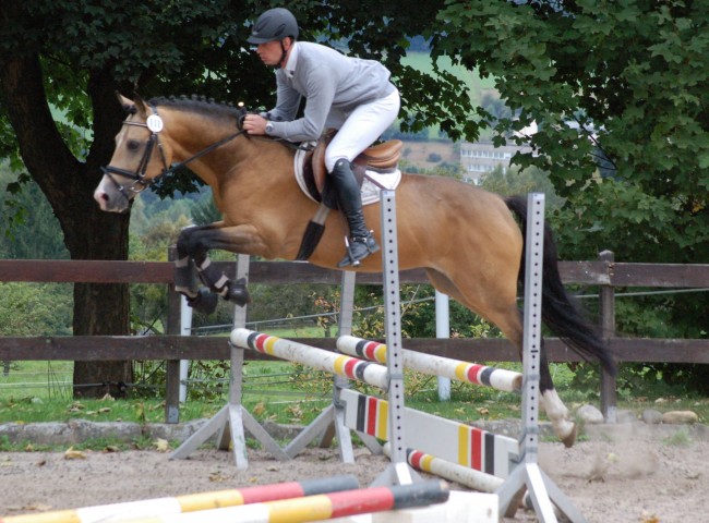 Hesselteichs Don´t forget me, DRP, EN 8,0