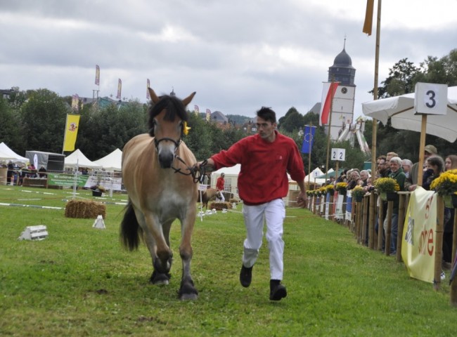 Jo Müller und Elaya in Aktion   Foto: Tonio Briel