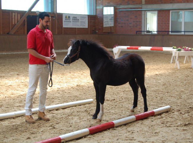 Krebsbachtal Ercoles