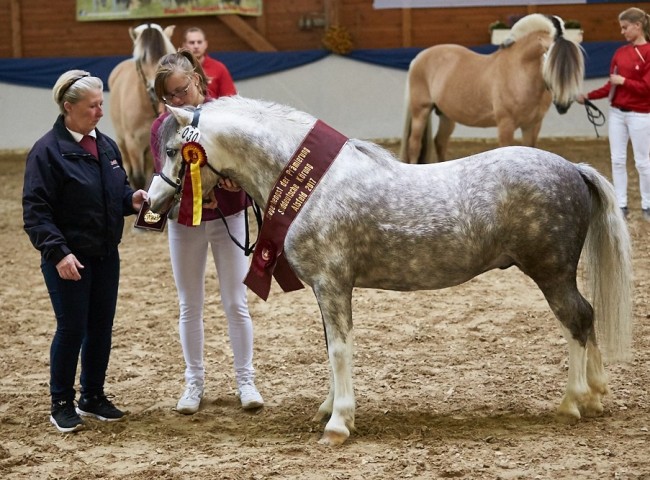 De Weyerds Houston Elsh A Foto: Joachim Hecker