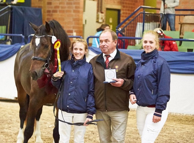 Friedrichshof Hot Twix Welsh Cob Foto: Joachim Hecker
