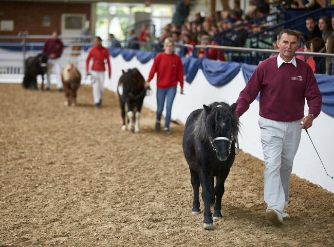 Schrittring Shetland Foto: Joachim Hecker