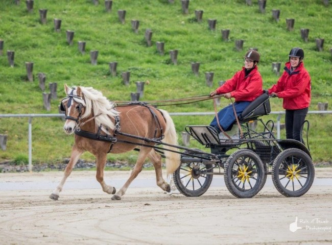 Holuna Bild: Fabian Weidemann