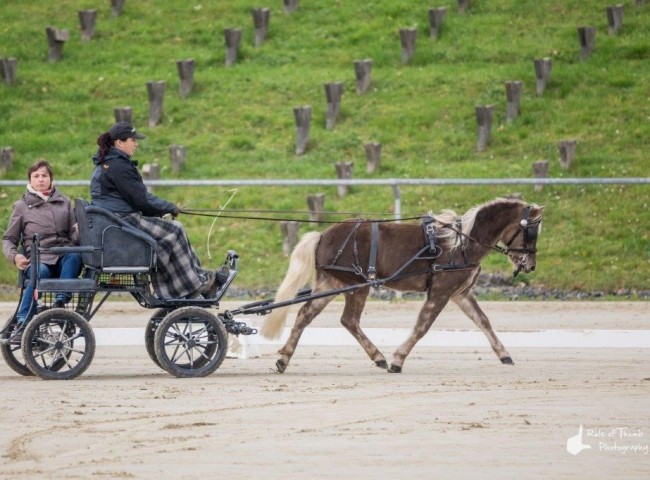 Jule Bild: Fabian Weidemann