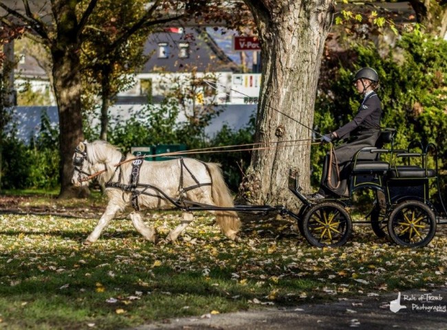 Kaja vom Nimstal Bild: Fabian Weidemann