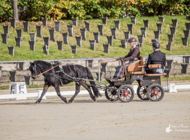 Katzmanns Whoopie Bild: Fabian Weidemann