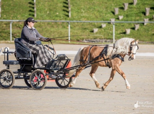 Nando-Rafael Bild: Fabian Weidemann