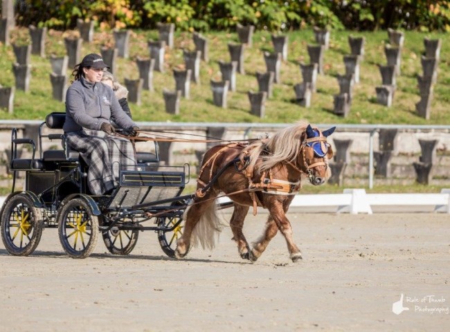 Oberbayerns Inchalla Bild: Fabian Weidemann