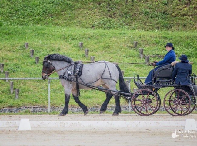 Ruby Bild: Fabian Weidemann