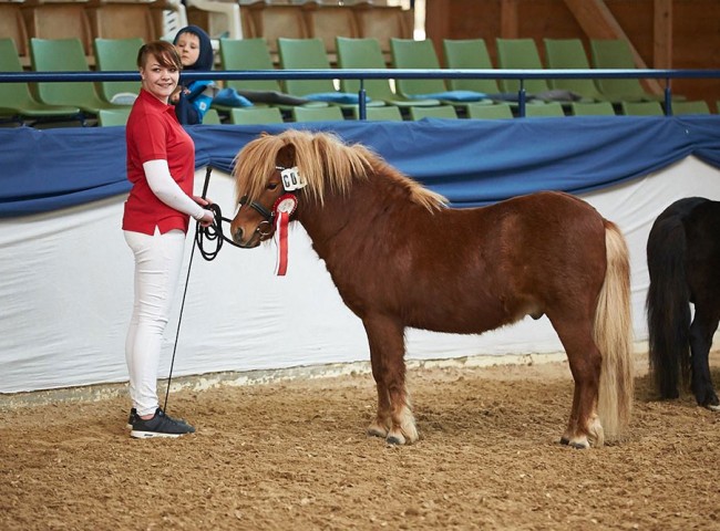 Giotto aus dem Wendland