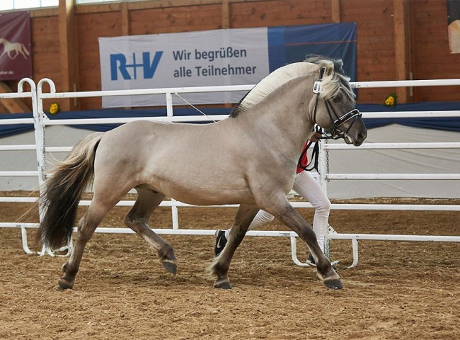 Reidar van den Bosdries