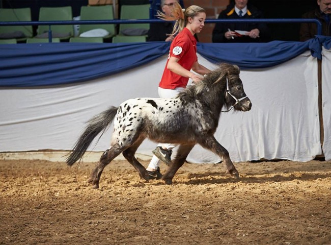 Wesersteins Dirty Harry Hot Spots