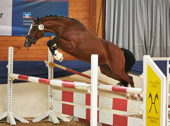 Oshie K beim Freispringen