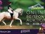 Ponyforum GmbH: Start der Reitpony Online Auktion!