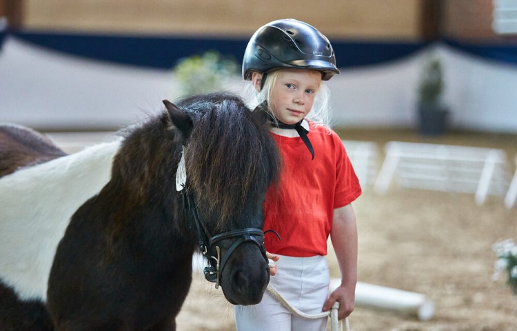 Tochter_des_Züchterhauses_Schultze_-_sie_stellte_das_Pony_komplett_alleine_vorjpg