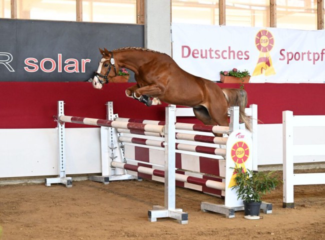 Fabelhafter_floris_spr