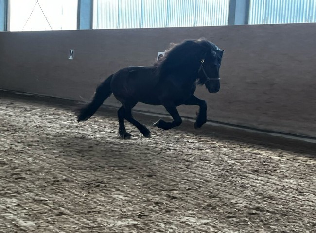 PHOTO-2025-03-31-10-16-37