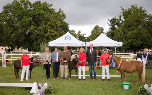 FN-Bundesstutenschau Robustponys 2025 in Redefin Elf Siegerinnen gekürt