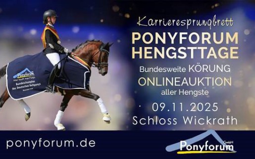 Ponyforum Hengsttage 2025 – jetzt anmelden!